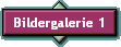 Bildergalerie 1