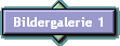 Bildergalerie 1