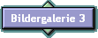 Bildergalerie 3