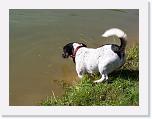 Hunde180 * 1288 x 966 * (215KB)