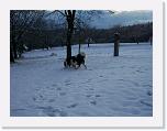 Hunde313 * 2576 x 1932 * (726KB)