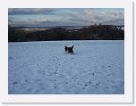 Hunde296 * 2576 x 1932 * (573KB)