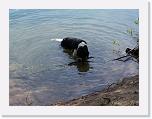 Hunde047 * 2576 x 1932 * (763KB)