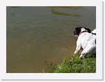 Hunde179 * 2576 x 1932 * (757KB)