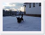 Hunde309 * 2576 x 1932 * (713KB)