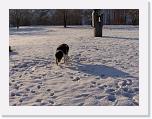 Hunde335 * 2576 x 1932 * (790KB)