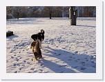 Hunde337 * 2576 x 1932 * (608KB)