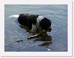 Hunde048 * 2576 x 1932 * (604KB)