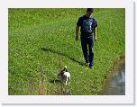 Hunde169 * 1288 x 966 * (427KB)