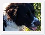 Hunde204 * 2576 x 1932 * (679KB)