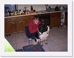 Hunde006 * 1288 x 966 * (189KB)