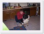 Hunde006 * 1288 x 966 * (189KB)