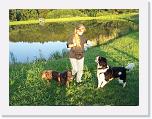 Hunde279 * 1288 x 966 * (405KB)