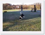 Hunde374 * 1288 x 966 * (370KB)