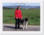 Hunde014 * 1288 x 966 * (279KB)