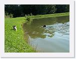 Hunde183 * 1288 x 966 * (291KB)