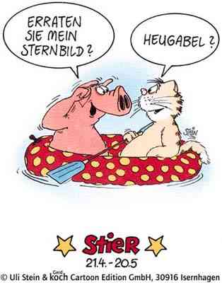 Stier