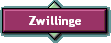 Zwillinge